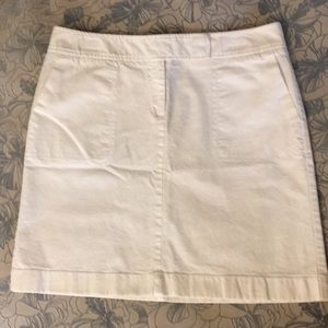 Ann Taylor skirt